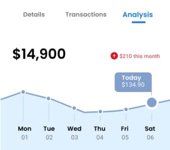 Financial analysis